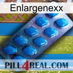 Enlargenexx viagra1